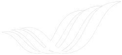 mantra-logo-pattern.webp